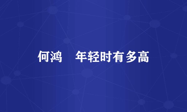 何鸿燊年轻时有多高