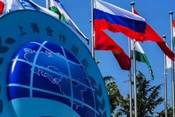 退出上合组织的国家有哪些？