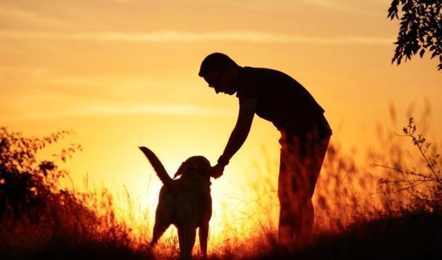 俗语“但知行好事，莫要问前程”，这句话出自何处？