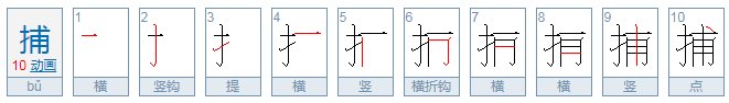 捕字的笔顺