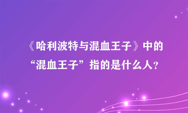 《哈利波特与混血王子》中的“混血王子”指的是什么人？