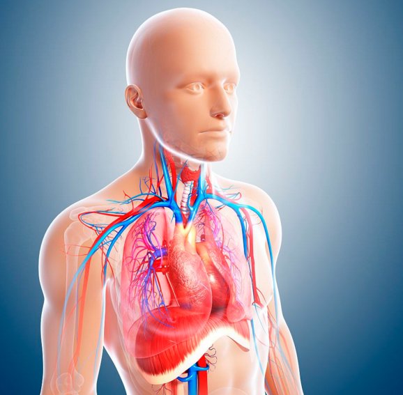 你在卫校的日常生活是什么样的？