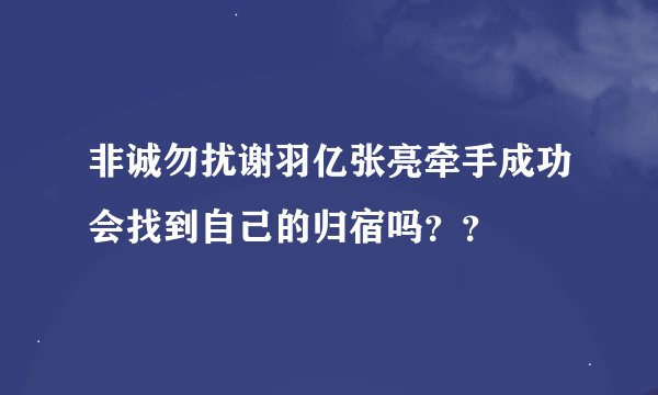 非诚勿扰谢羽亿张亮牵手成功会找到自己的归宿吗？？