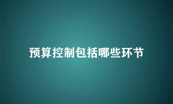预算控制包括哪些环节