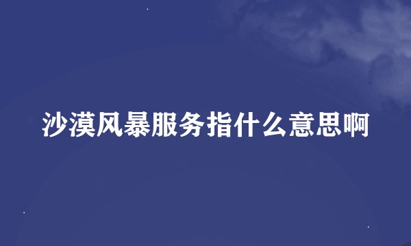沙漠风暴服务指什么意思啊