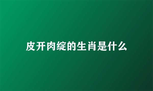 皮开肉绽的生肖是什么