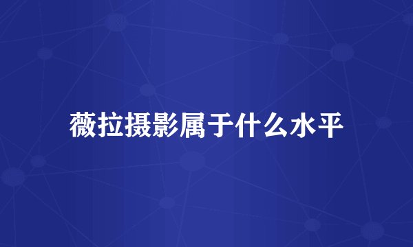 薇拉摄影属于什么水平