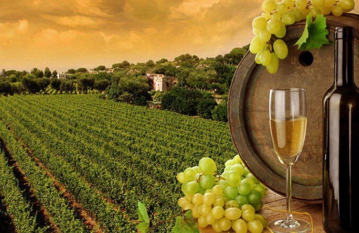 红葡萄酒与干红葡萄酒有什么区别