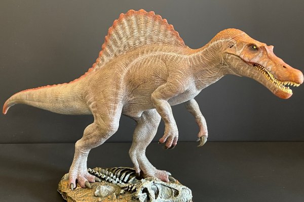 霸王龙的三大天敌