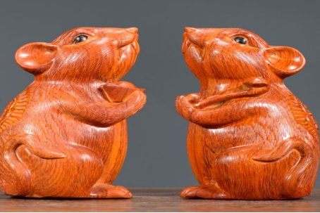 八九同时大门守十六三日街上走打一生肖