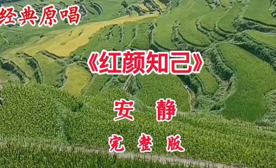 只怪当初真的太爱你是什么歌