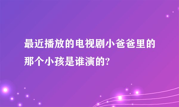 最近播放的电视剧小爸爸里的那个小孩是谁演的?