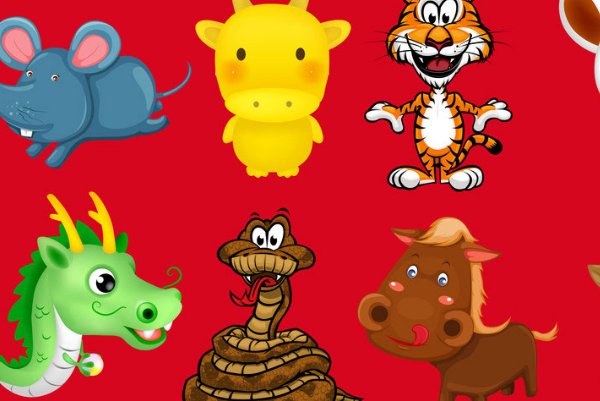 中途而废打什么生肖