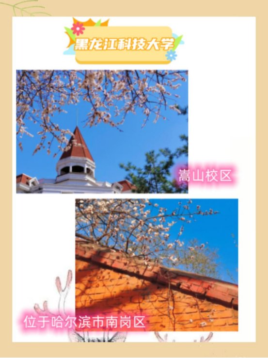 黑龙江科技大学有几个校区