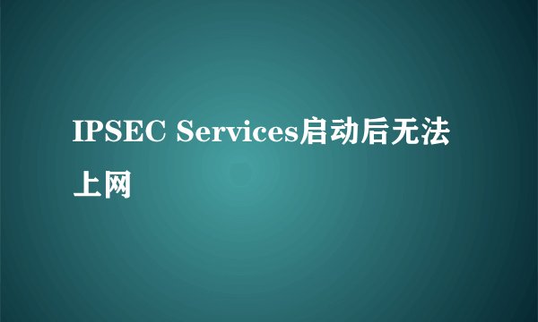 IPSEC Services启动后无法上网