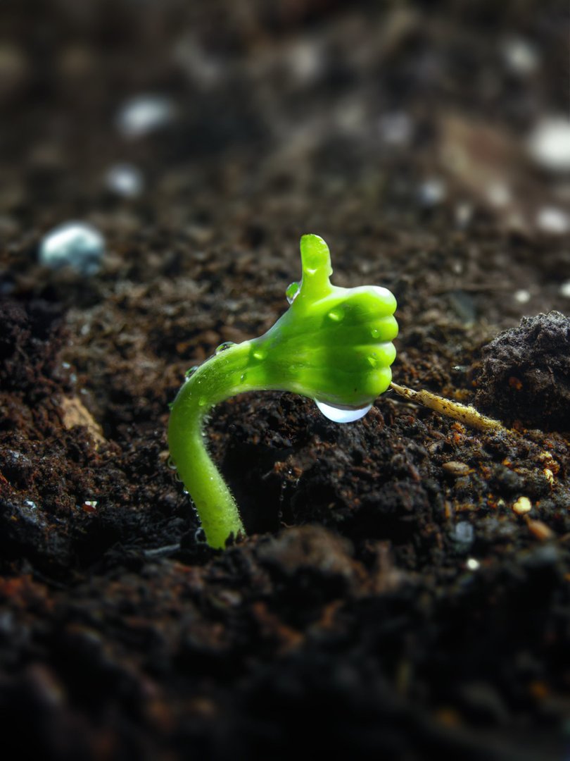 实践小圈视频去哪看？