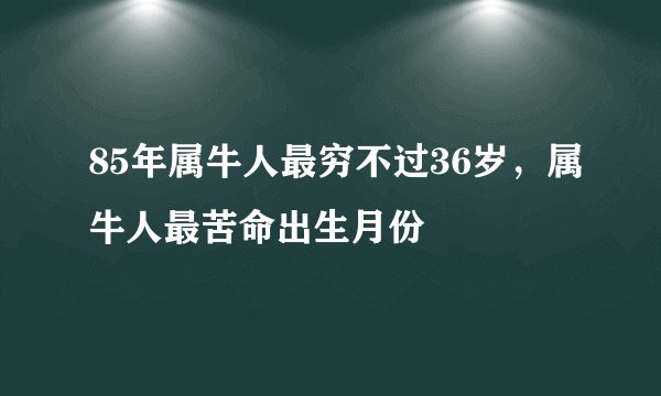 85年属牛人最穷不过36岁，属牛人最苦命出生月份
