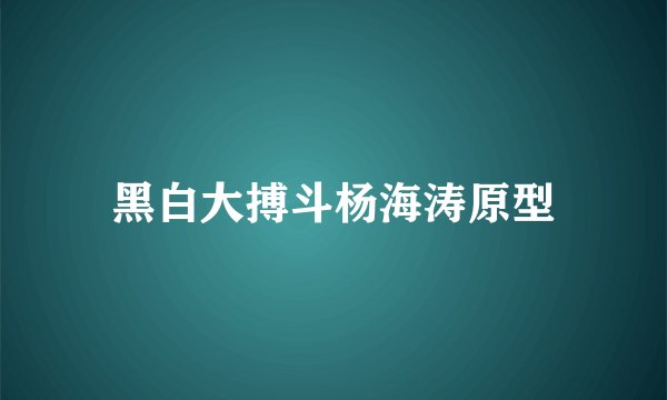 黑白大搏斗杨海涛原型