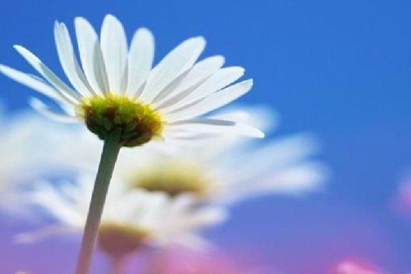 社会经济结构是什么意思