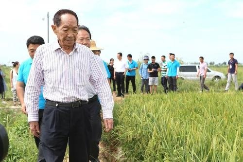 长沙外卖单全是鲜花，你知道这是为了什么吗？