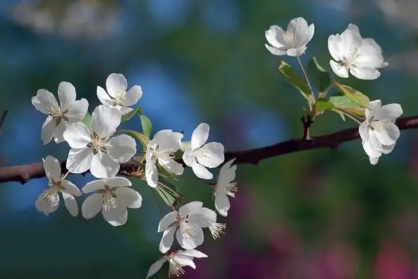 有颜色的句子短句