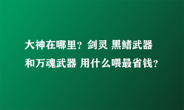 大神在哪里？剑灵 黑鳍武器和万魂武器 用什么喂最省钱？