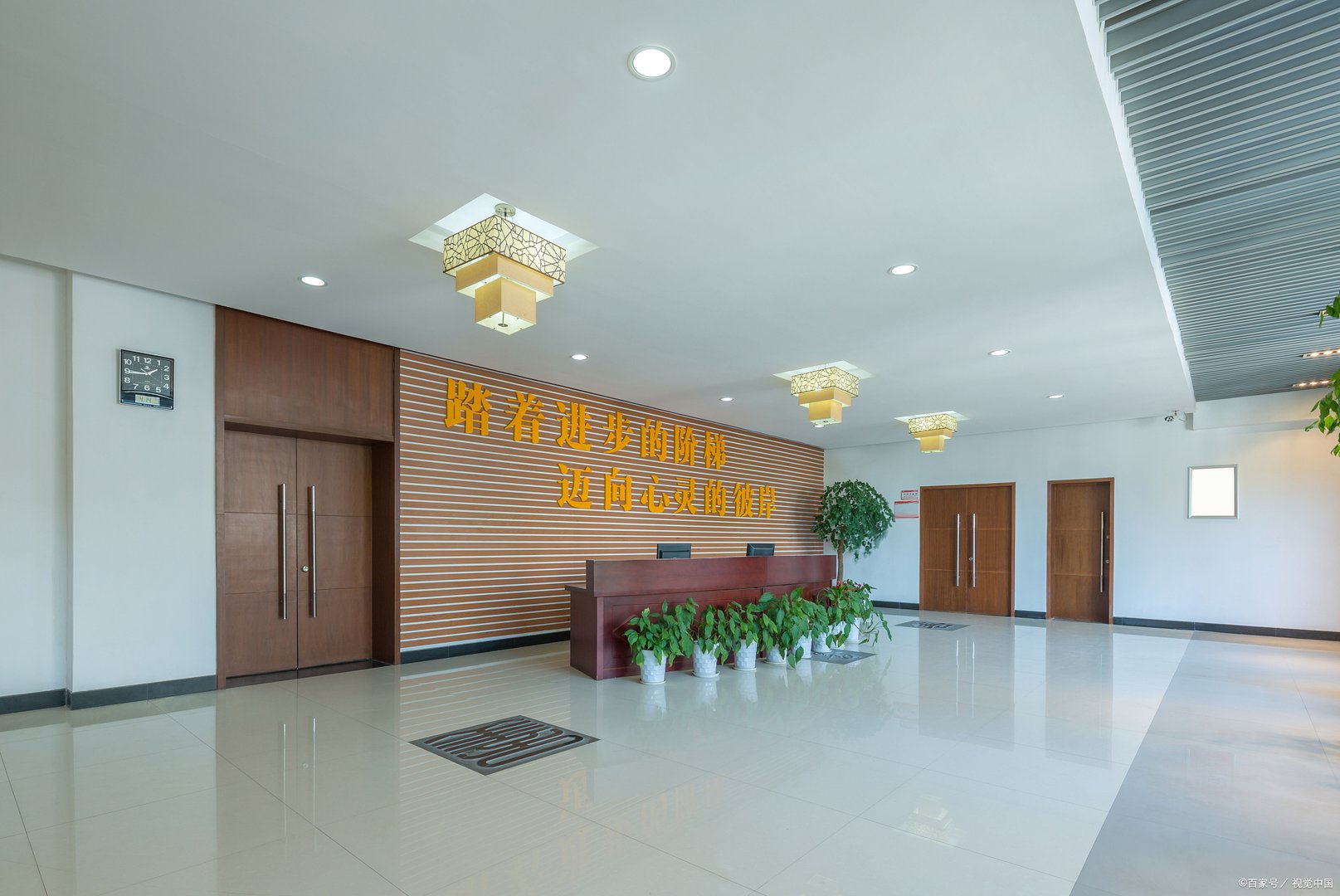 放开二胎是哪一年