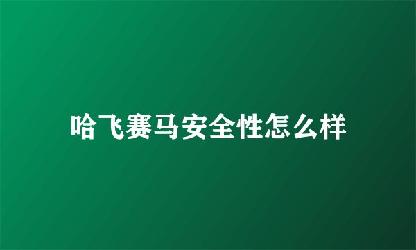 哈飞赛马安全性怎么样