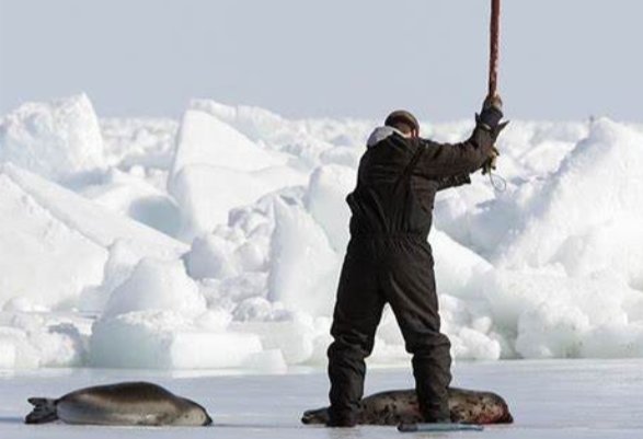 没有买卖就没有杀害的英文是什么呢？