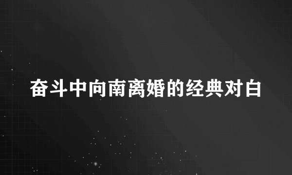 奋斗中向南离婚的经典对白