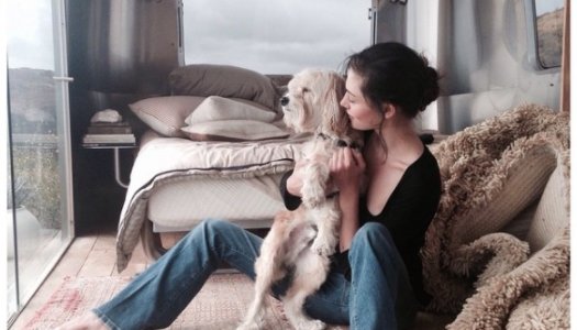 taylorvixen最好看的？