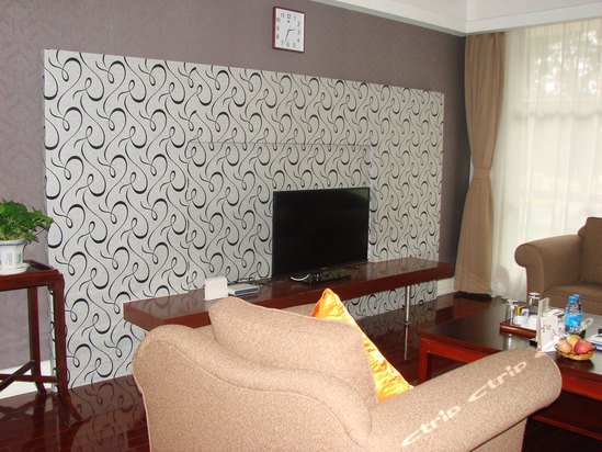 苏州和乔丽晶公寓酒店的介绍