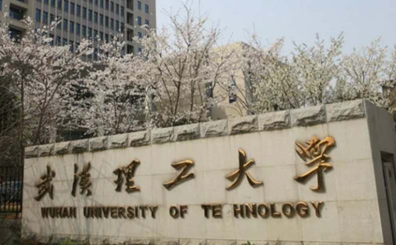 武汉工业大学属于哪个大学？