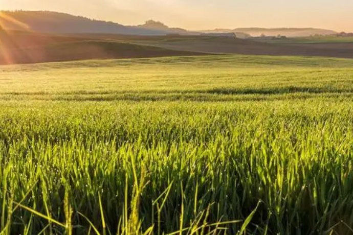 野的笔顺怎么写