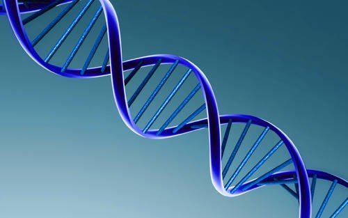 什么是管家基因和奢侈基因