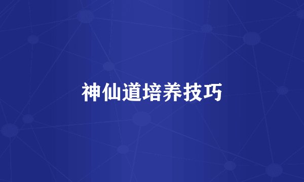 神仙道培养技巧