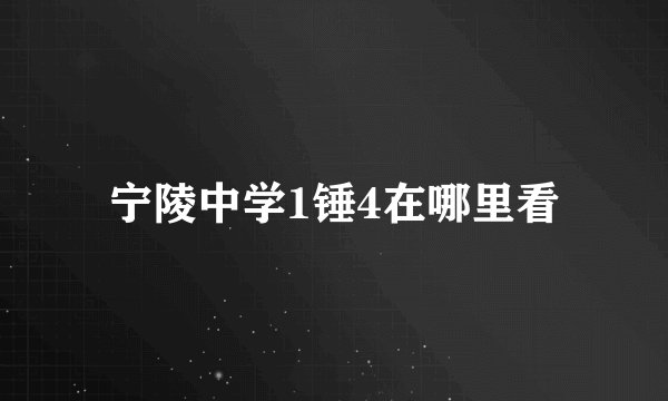 宁陵中学1锤4在哪里看