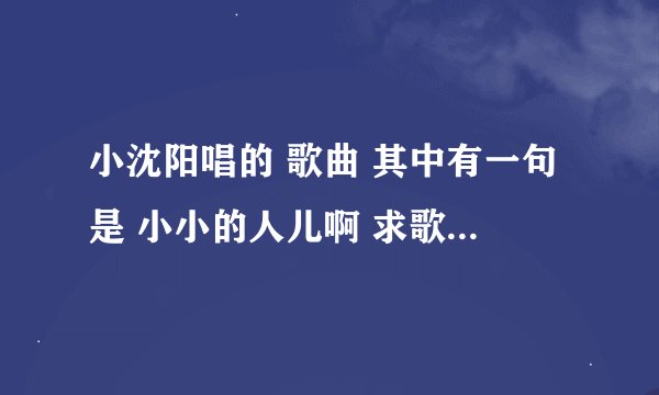 小沈阳唱的 歌曲 其中有一句是 小小的人儿啊 求歌名！谢！！