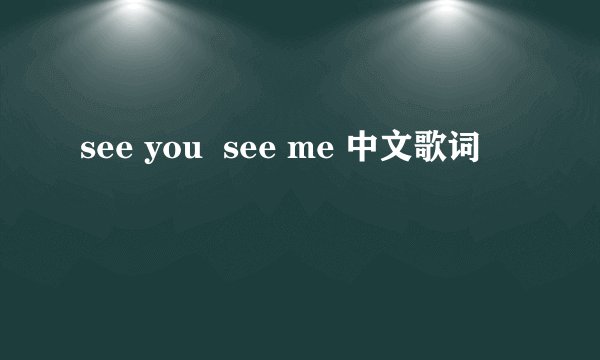 see you see me 中文歌词