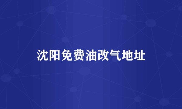 沈阳免费油改气地址