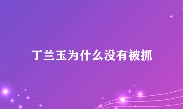 丁兰玉为什么没有被抓