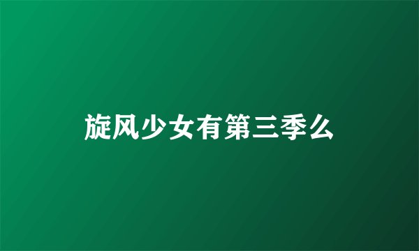 旋风少女有第三季么
