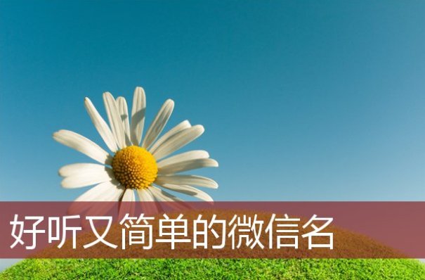 2024年最旺的微信名字