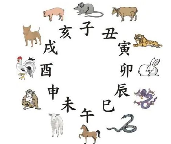 喧嚣一时代表什么动物