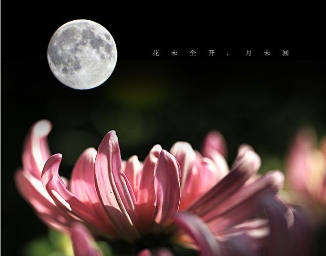 “花未全开月未圆”这句诗出自哪首诗？