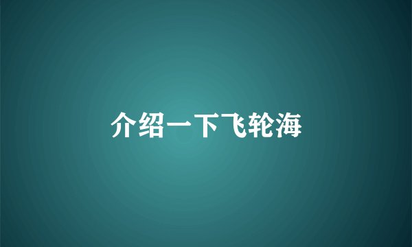 介绍一下飞轮海