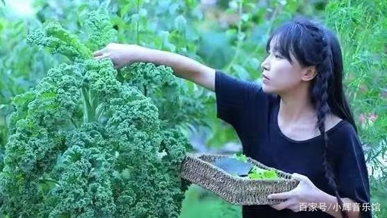 李子柒谈自己原生家庭的影响，原生家庭是如何影响她的？