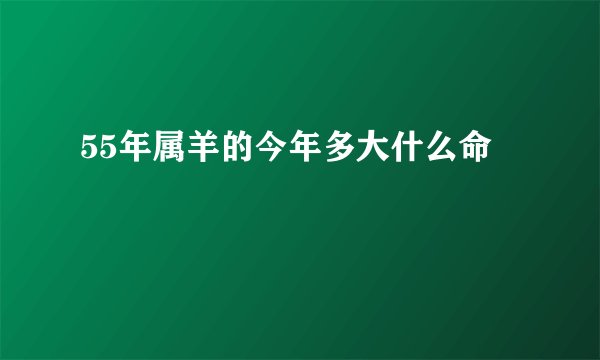 55年属羊的今年多大什么命