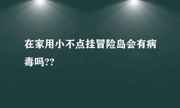 在家用小不点挂冒险岛会有病毒吗??