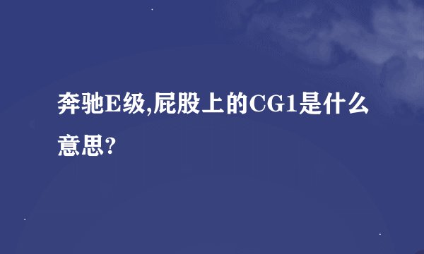 奔驰E级,屁股上的CG1是什么意思?